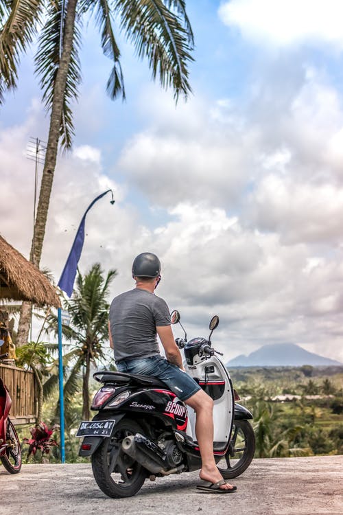 男子骑着摩托车停在椰子树附近 · 免费素材图片