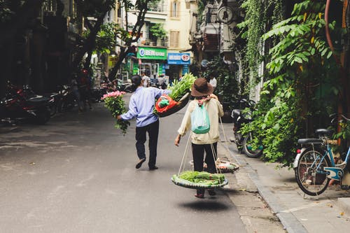 携带蔬菜的人 · 免费素材图片