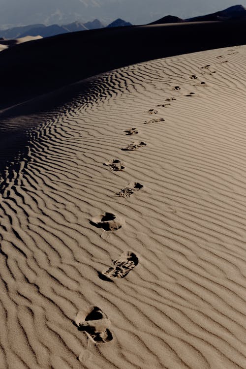 棕沙的足迹 · 免费素材图片