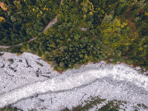 绿树的航拍照片 · 免费素材图片