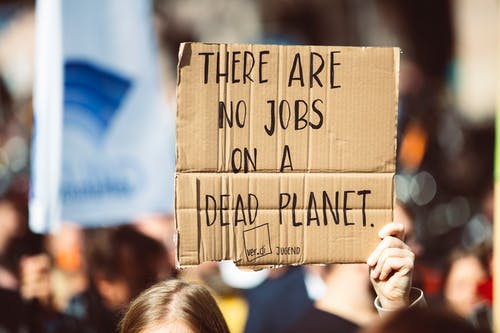 有关人群, 全球, 全球气候罢工的免费素材图片
