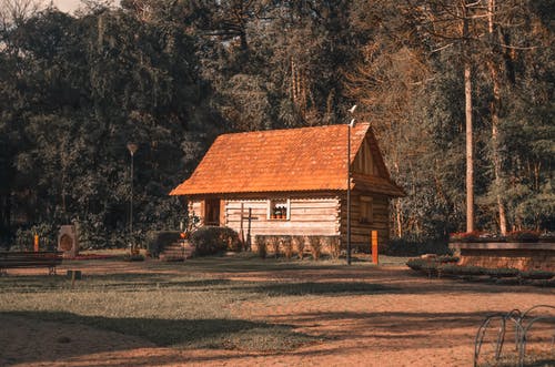 树木附近的棕色木屋 · 免费素材图片