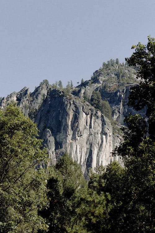 横跨灰山的树木 · 免费素材图片