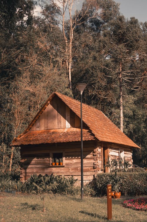 除了绿树的棕色小屋 · 免费素材图片