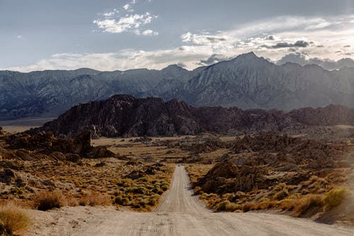 灌木和草跨山 · 免费素材图片