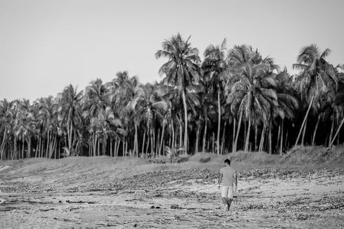 在海滩上独自行走的人的灰度照片 · 免费素材图片