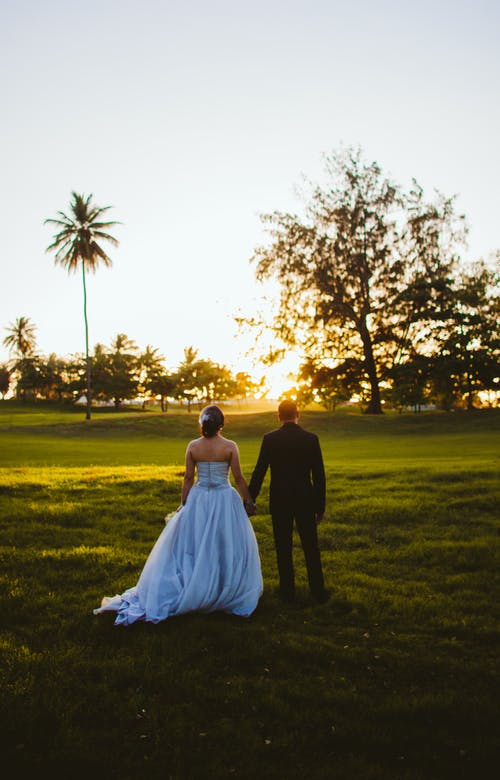 新娘和新郎在草地上站立时手牵着手的背影照片 · 免费素材图片