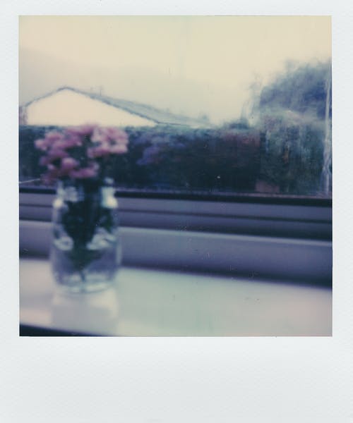 透明罐子里的粉红色花朵 · 免费素材图片