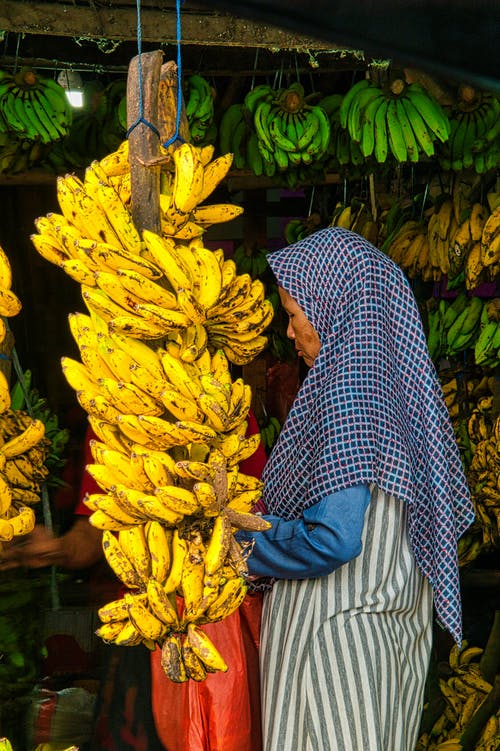 成熟的香蕉 · 免费素材图片