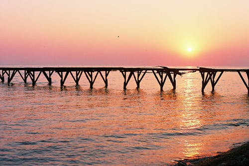 棕色木桥 · 免费素材图片