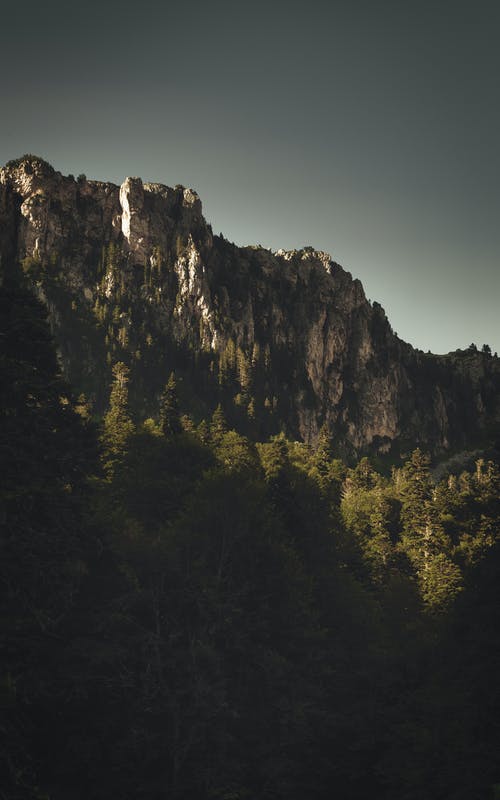 在灰色的天空下的岩石山脚下的浓密森林树木 · 免费素材图片
