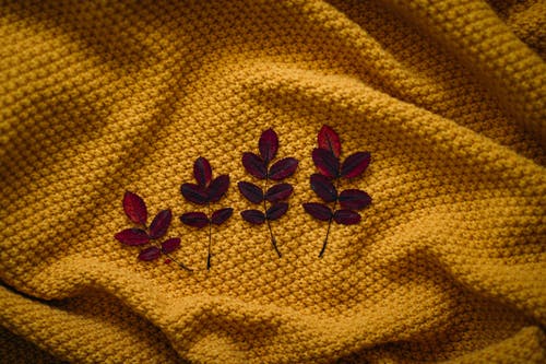 纺织上的四个棕色叶子 · 免费素材图片