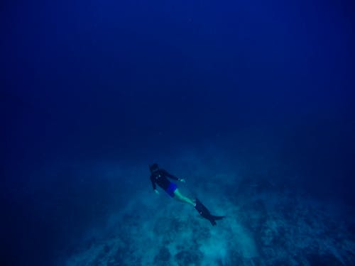 人潜水深水水下 · 免费素材图片