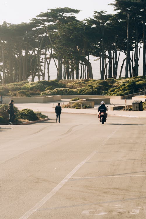 在公园旁边的道路上骑摩托车的人 · 免费素材图片