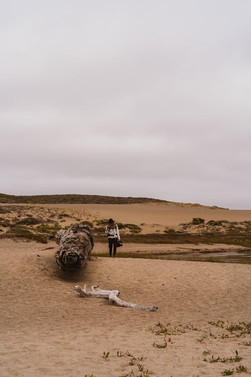 站在沙地上倒下的树干旁边的女人 · 免费素材图片