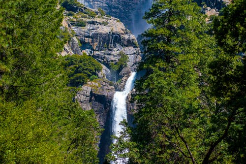 落基山附近绿叶树上的瀑布 · 免费素材图片