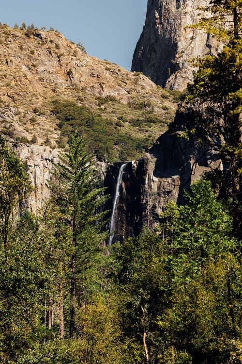 绿树和洛矶山脉悬崖的景色 · 免费素材图片