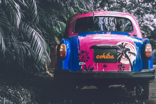 老爷车停在深绿色的植物附近的照片 · 免费素材图片