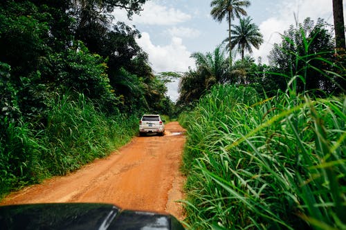 白色suv在树木和植物包围的土路上行驶 · 免费素材图片
