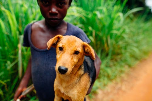 孩子背着棕色狗的照片 · 免费素材图片