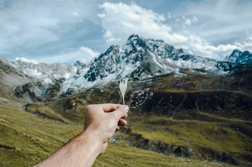 持有白花俯瞰白雪皑皑山的人 · 免费素材图片