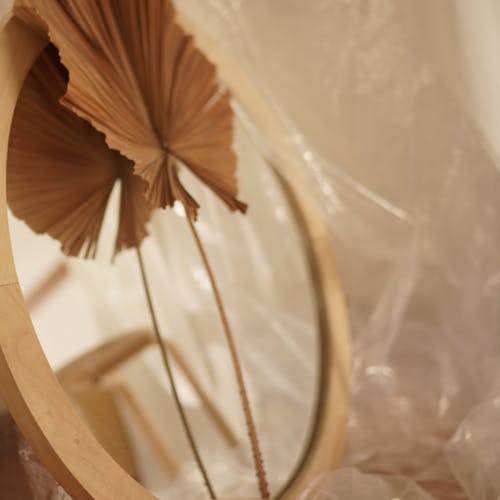 棕色的叶子，在圆的棕色木制镜框上 · 免费素材图片