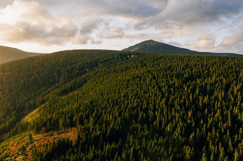 跨山森林的航拍照片 · 免费素材图片