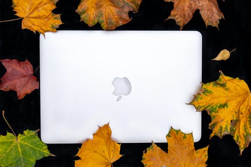 银色macbook被干树叶包围 · 免费素材图片