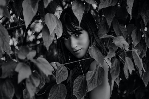 女人站在树叶附近的灰度摄影 · 免费素材图片