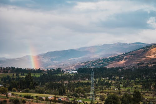 绿树和山 · 免费素材图片