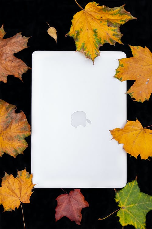 白macbook被干树叶包围 · 免费素材图片