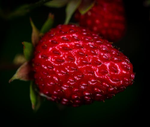 红色草莓果实的特写照片 · 免费素材图片