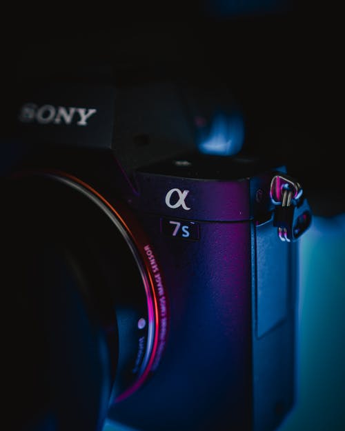 黑色和紫色索尼相机 · 免费素材图片