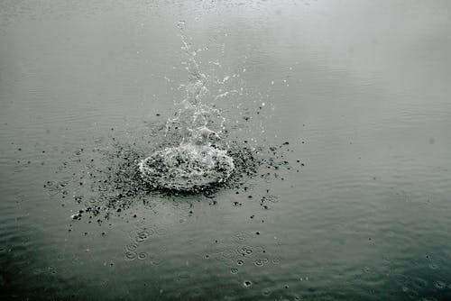 平静的水体 · 免费素材图片