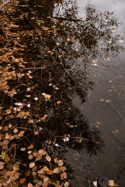 水体 · 免费素材图片