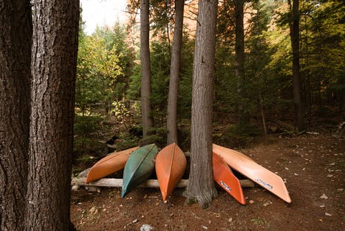 五种什锦皮划艇特写摄影 · 免费素材图片