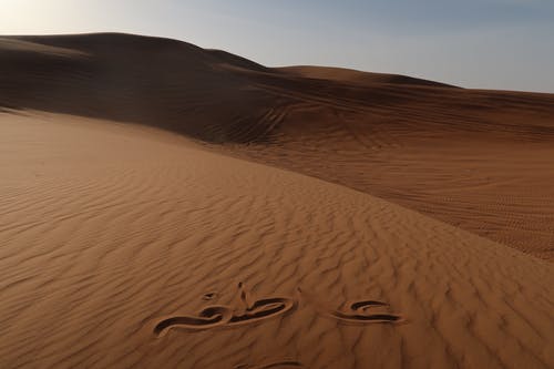 空旷的沙漠 · 免费素材图片