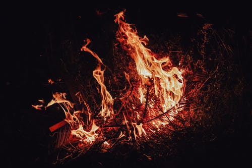 树枝在漆黑的夜晚燃烧 · 免费素材图片