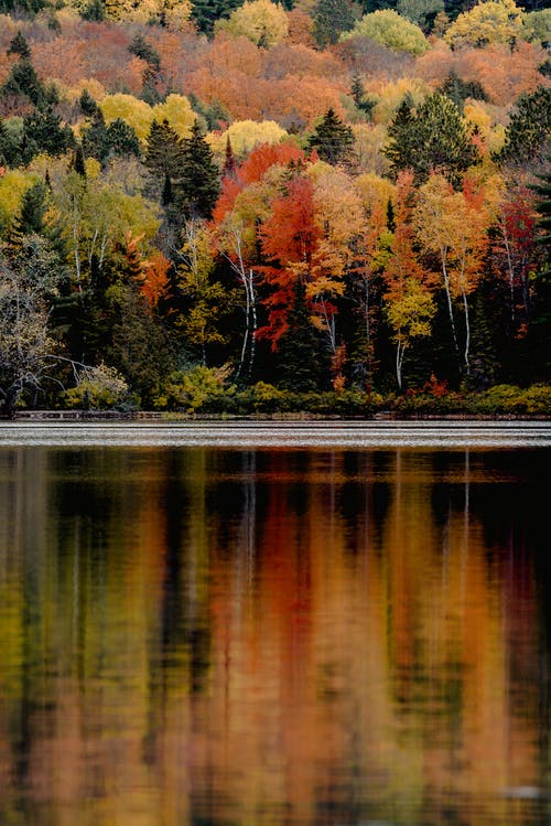 秋天的颜色 · 免费素材图片