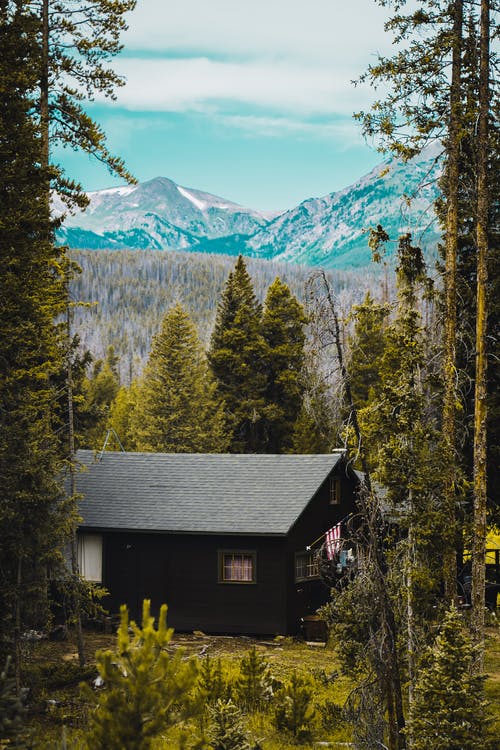 被绿树环绕的黑屋 · 免费素材图片