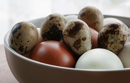 棕色和白色的鸡蛋 · 免费素材图片