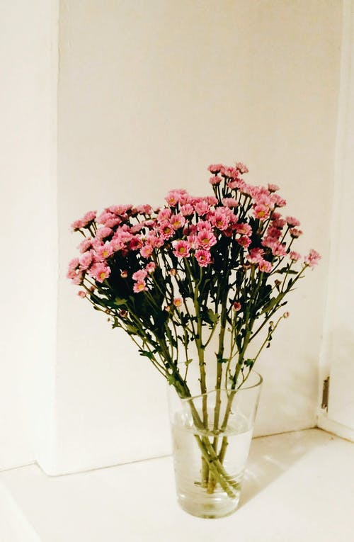 透明玻璃花瓶上的粉红色花朵 · 免费素材图片