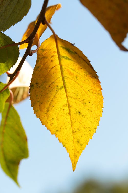 有关乾的, 从下面, 元素的免费素材图片