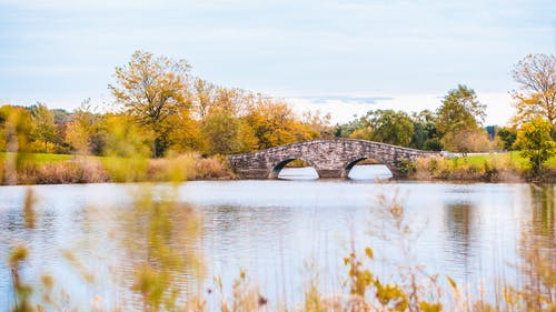 一座被茂密的植被包围的河流上的石桥 · 免费素材图片