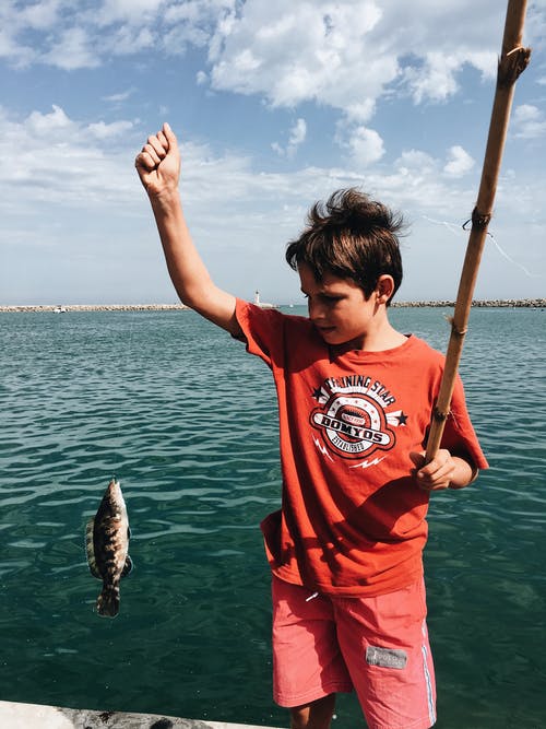男孩用钓鱼竿抓鱼 · 免费素材图片