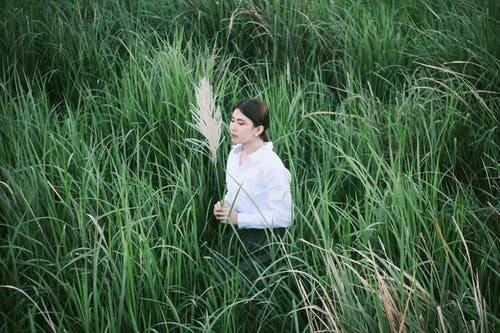 女人站在草地上 · 免费素材图片