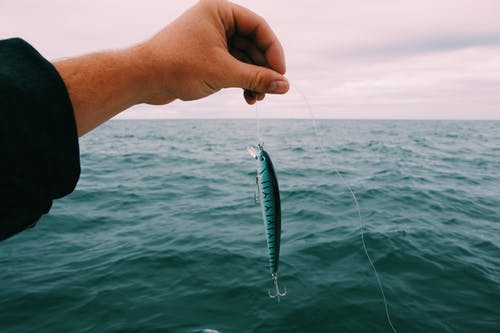 白色和蓝色钓鱼竿 · 免费素材图片