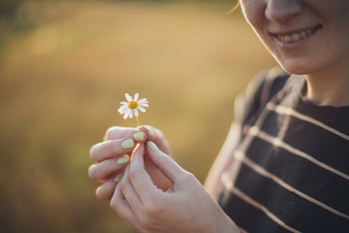 持有白雏菊的人 · 免费素材图片
