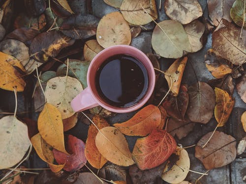 咖啡的顶视图照片 · 免费素材图片