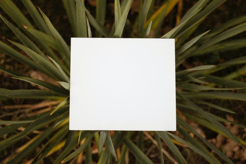 方形白皮书 · 免费素材图片